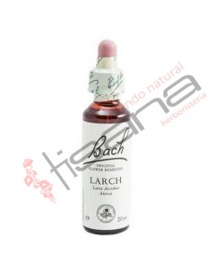 Bach Larch Alerce · Santiveri · 10 ml